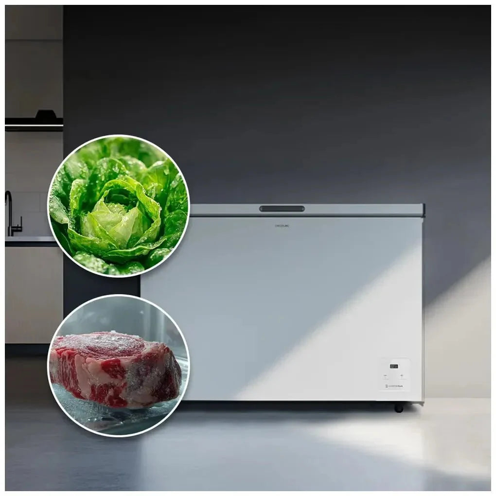 Congelador Horizontal 254L con Inverter Plus y Fast Freezing, Clase E de Cecotec