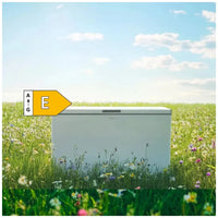 Congelador Horizontal 254L con Inverter Plus y Fast Freezing, Clase E de Cecotec