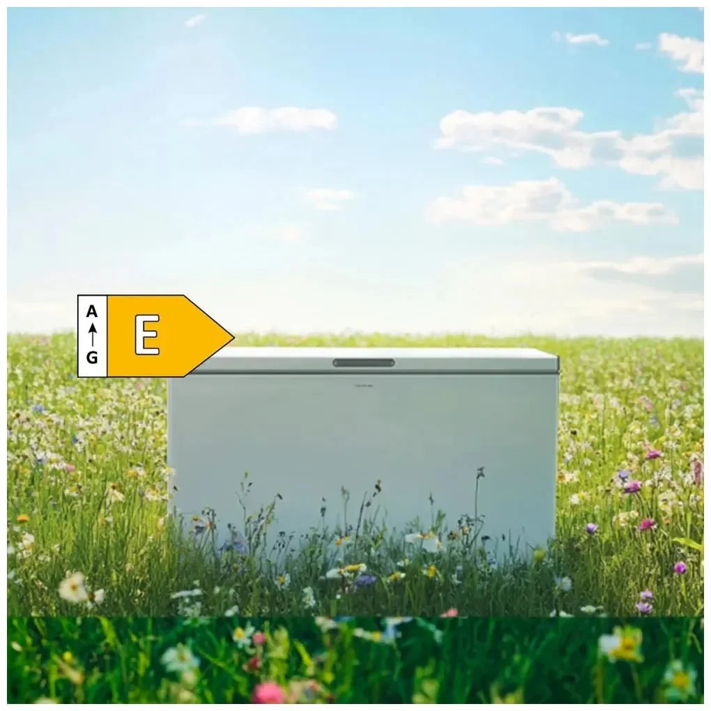Congelador Horizontal 254L con Inverter Plus y Fast Freezing, Clase E de Cecotec