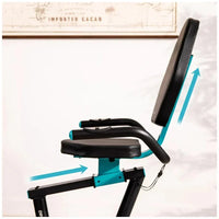 Bicicleta Estática Reclinable con Resistencia Magnética y Pantalla LCD de Cecotec