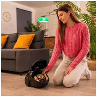 Aspirador Trineo 800W: Compacto, Potente y Eficiente para Todo Tipo de Superficies de Cecotec
