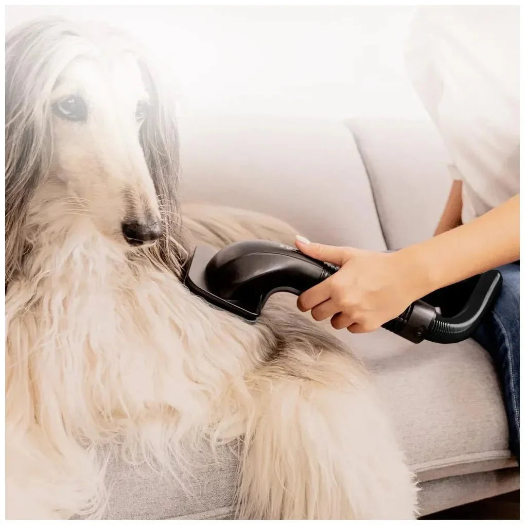 Aspirador Vertical Potente con Autovaciado y Accesorios para Mascotas de Cecotec