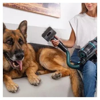 Aspiradora escoba de 400 w con tubo flexible y accesorio para animales conga rockstar 2500 thunder flex animal de Cecotec